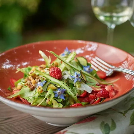 La Casa Degli Ospiti * Dolegna del Collio